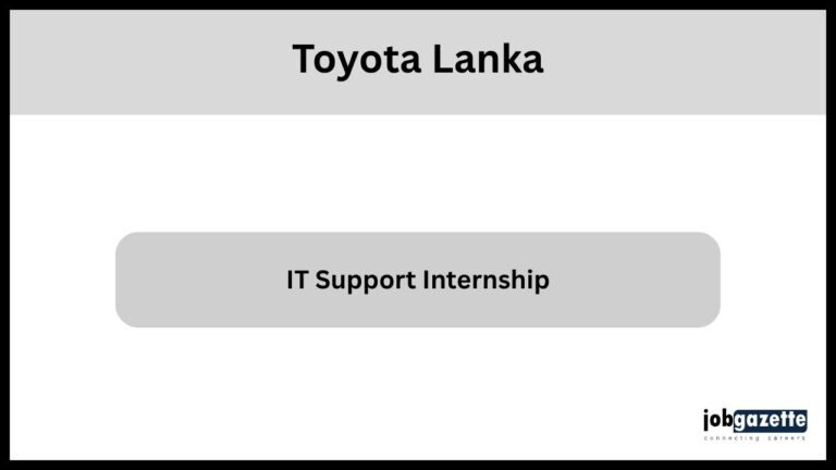 IT Internship